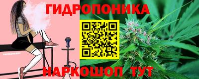 гидра Кимры
