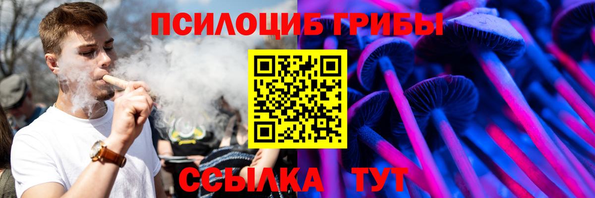 Северодвинск  Псилоцибиновые грибы Cubensis  Вход с VPN  Псилоцибиновые грибы прущие грибы 